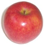 large red apple photo