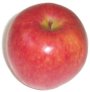 medium red apple photo