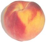 large peach