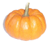 free pumpkin