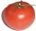 free tomato photo
